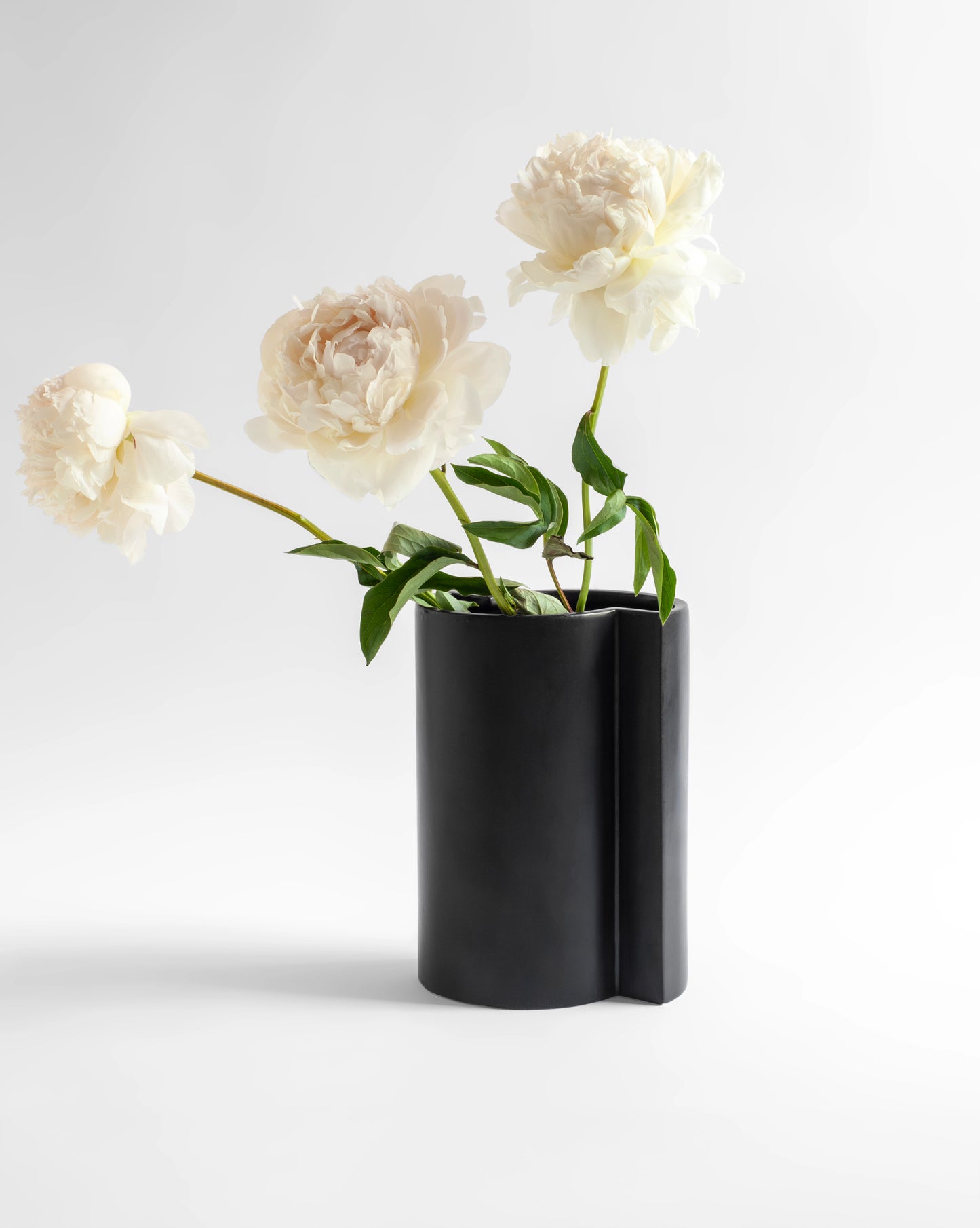 Black Bishop Vase with a modern ceramic design from the Kish o Mat collection and white peonies.