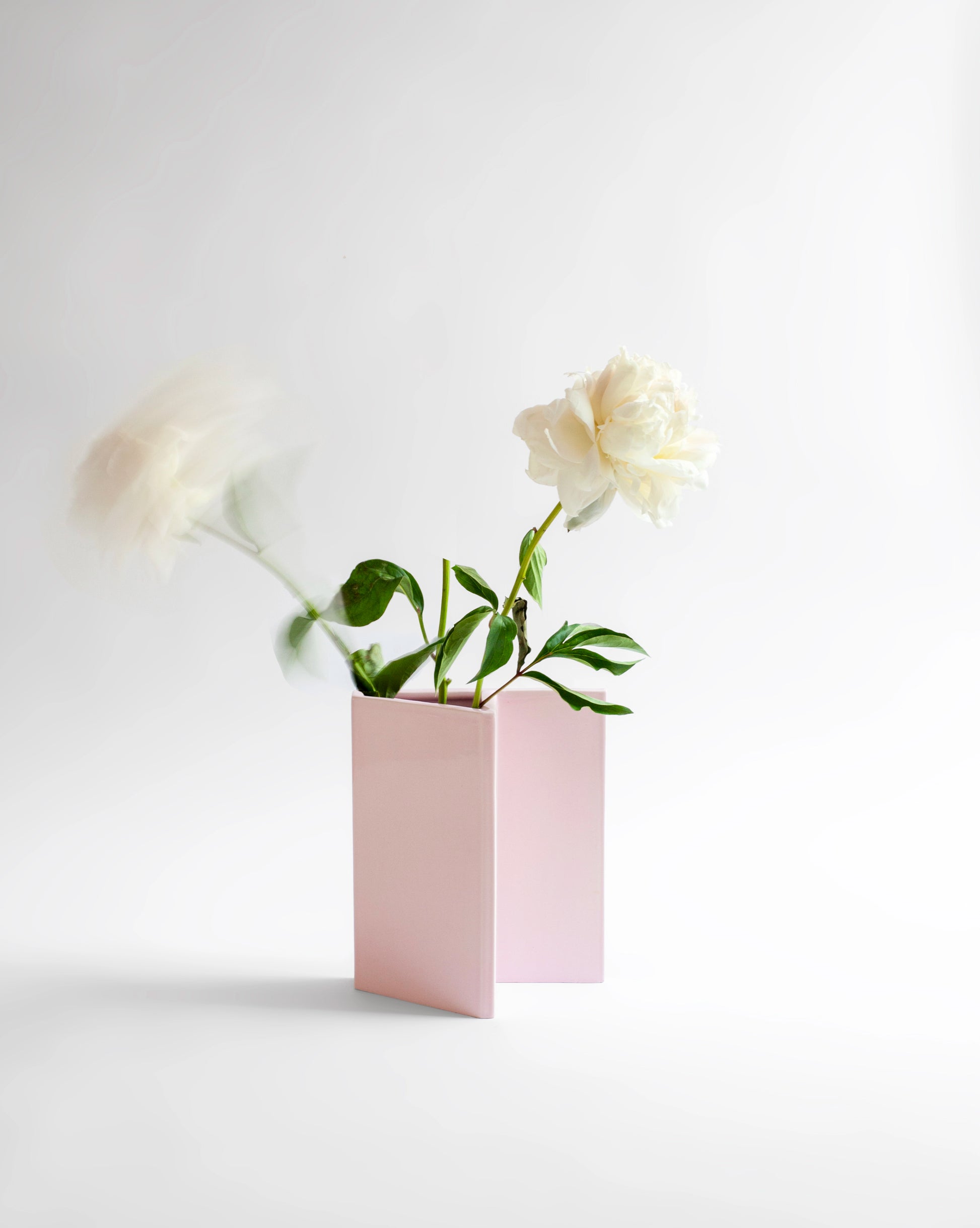 Pink Knight Vase from the Kish o Mat collection with white flowers