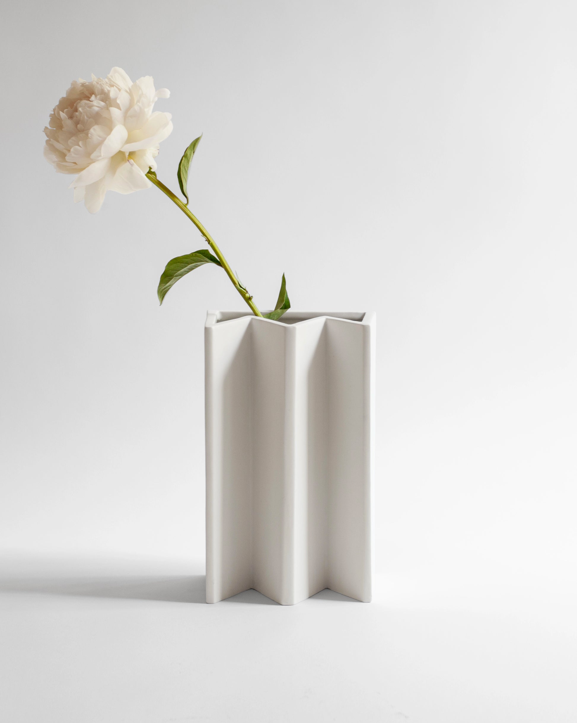 Still life of a white peony in a King Vase with a matte white finish, adding sophistication to any space